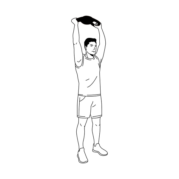 Upper Body